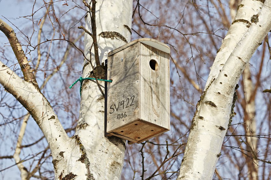 Urpo Koponen huoltaa linnunpönttöjään säännöllisesti.