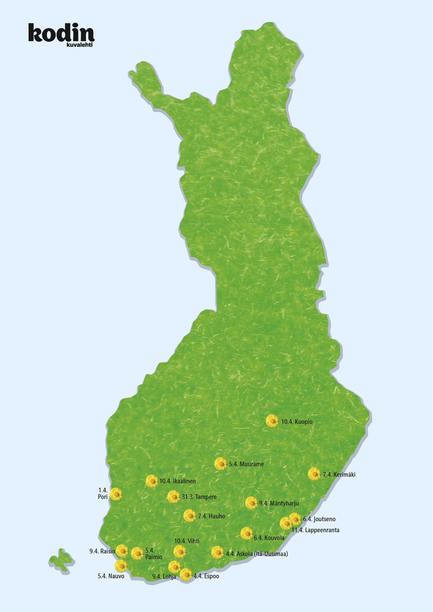 Milloin penkereet muuttuvat keltaisiksi sinun kotikunnassasi?