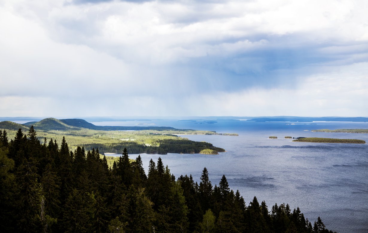 Näkymä Kolilta. Suomen puhdas luonto oli monen vastaajan kiitollisuudenaihe.