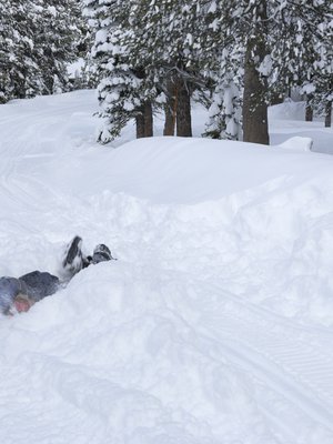 Luminen metsä huokuu taikaa, valoa ja mielenrauhaa! Haaveissa ehkä.