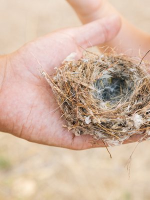 Juurihan ne olivat tässä, lapset. Nyt on vain kannustettava lentämään eteenpäin.