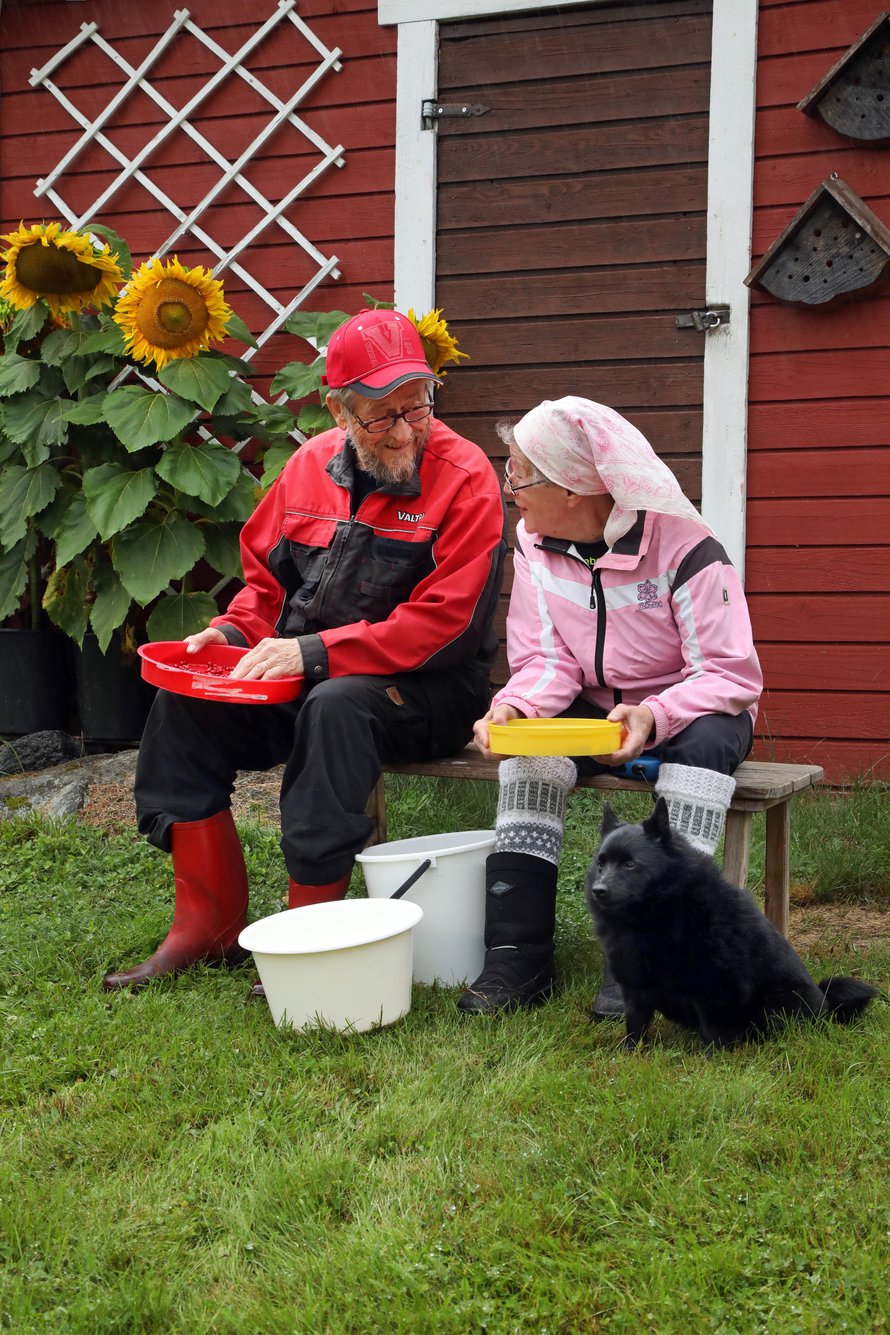 Yhdessä hommat sujuvat mukavasti. Marjojen putsaus tehdään käsin, rauhassa. Maalla ei ole kiire.