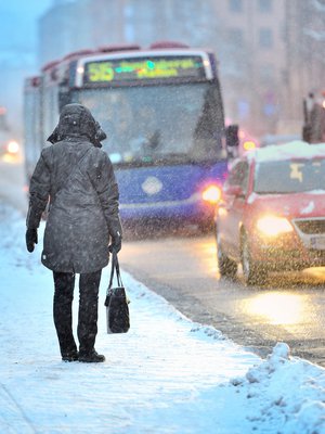 Helmikuun haiku - mitä se on sinulle?