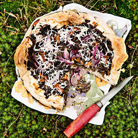 Kuivatut mustatorvisienet, suppilovahverot, kantarellit tai tatit sopivat piirastaikinaan täydellisesti.