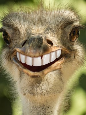 Ennen valkaisua on hyvä käydä hammastarkastuksessa. 