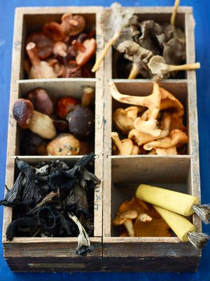 Pakastaminen on hyvä tapa saada sienet talteen.