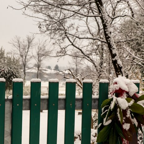 Lauran kotoa mukaan ottamat tavarat mahtuivat pariin Ikea-kassiin.