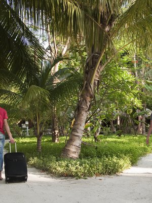 Heippa kultaseni, nähdään uima-altaalla, ehkä.