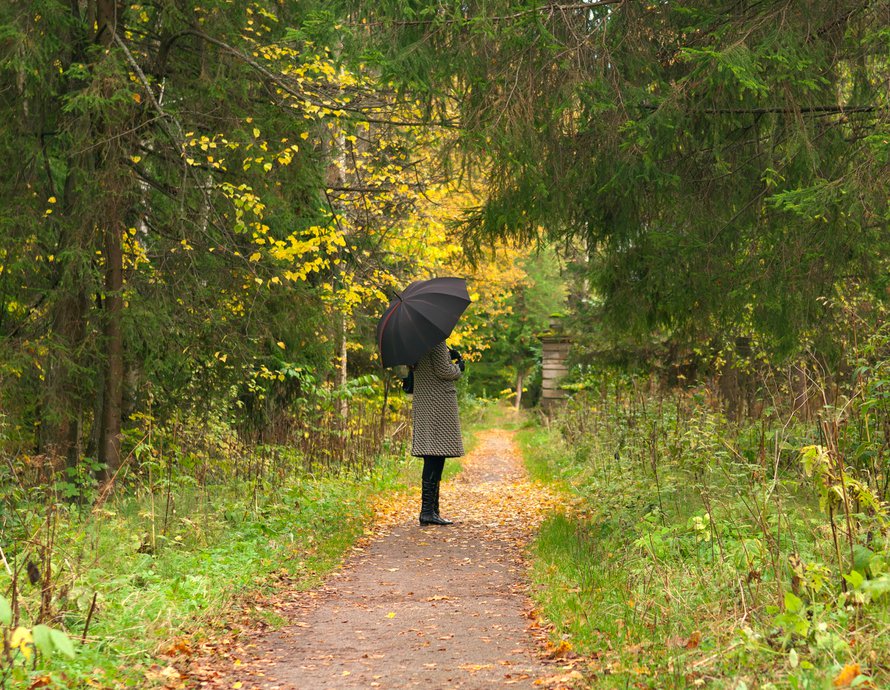 Metsän vehreys vie mielen meditatiiviseen tilaan.