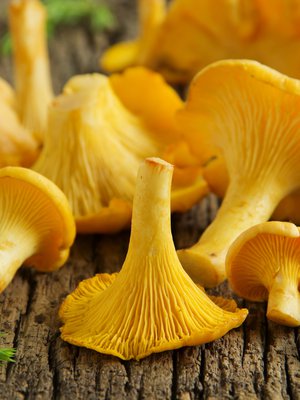 Näistä näkymistä moni näkee unia. 