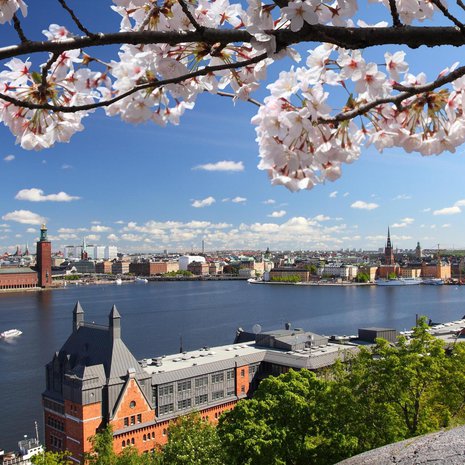 Tukholmassa kannattaa uskaltautua myös ihan ydinkeskustan ulkopuolelle. Södermalmin Skinnarviksberget-kukkulalta on upeat näkymät.