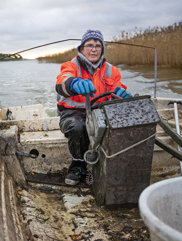 Liisa Vainio, 63, on kolmannen polven kalastaja ja asuu Taivassalossa. Työ koostuu suomukalan kalastuksesta verkoilla, kirjolohen kylmäsavustuksesta ja omien kalajalosteiden kuten maustettujen silakoiden, kalapihvien ja munkkitaikinaan leivottujen ahvenpötkösten valmistuksesta ja myynnistä.