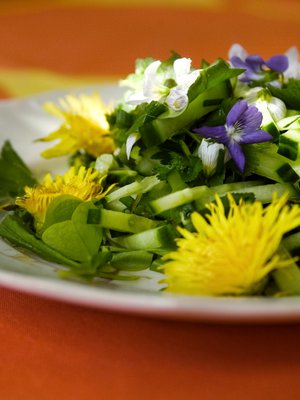 Moni jo osaa poimia lautaselle voikukan ja nokkosen, mutta muitakin hyviä villiyrttejä on metsä väärällään. 