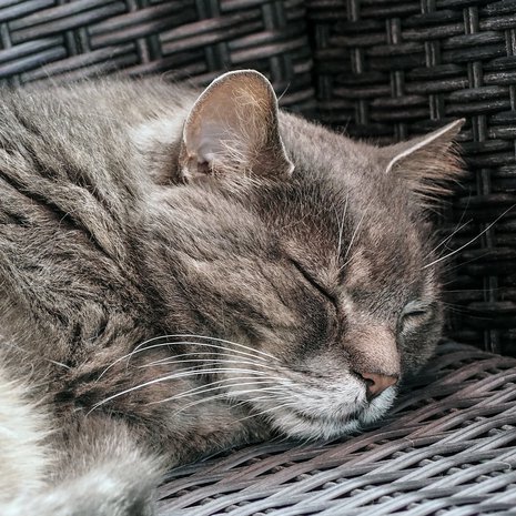 Mitä onni on sinulle? Pue se joskus sanoiksi. Sekin on askel kohti onnellisempaa elämää.