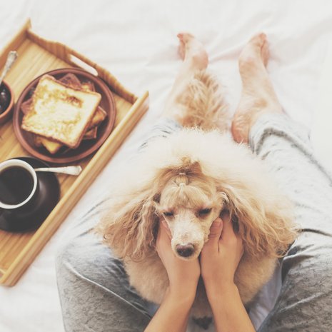 Ei ehkä arkinen, mutta mieltä hellivä rutiini se on tämäkin: yhteinen aamiainen sängyssä.
