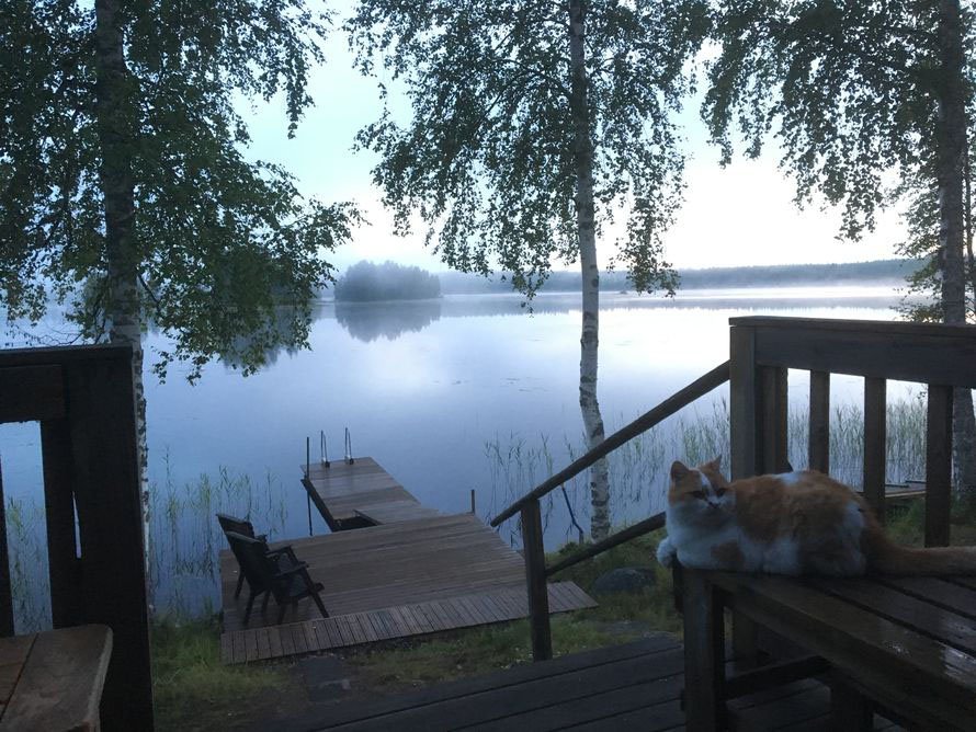 ”Monta vuotta haaveiltiin pienestä rantaterassin ja laiturin yhdistelmästä. Sitten pantiin töpinäksi ja tehtiin se! Kyllä nyt kelpaa.” – Soikku