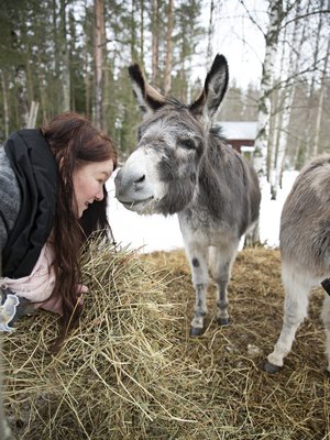 Aasit Uffe ja Molly ovat nykyään Sarin työkavereita sipoolaisella Hevonpellon tilalla, jota Sari pyörittää miehensä Marcuksen kanssa. Pihapiirissä Sari pitää myös uutta putiikkia. Konkurssin jälkeen hän kouluttautui myös yritysneuvojaksi, koska haluaa auttaa kohtalotovereitaan.