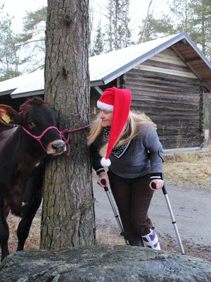Mathilda-hieho odottaa maanviljelijän vaimon kanssa joulun tuloa, emäntä jalka kipsissä.
