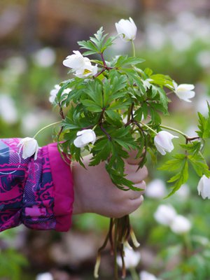 Paljon onnea äiti! Onnea siitä, että saat olla äiti.