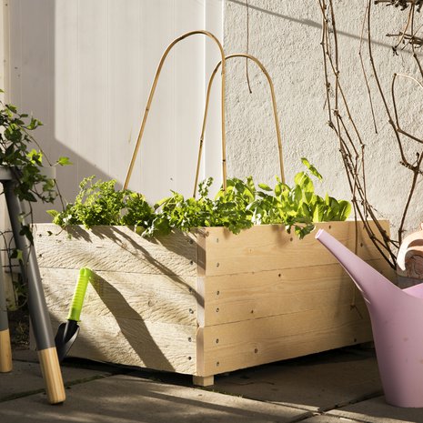 Lehtivihannekset, kuten salaatti ja pinaatti, viihtyvät hyvin viljelylaatikossa.