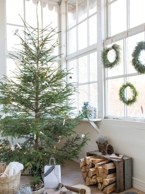 Kuusi viihtyy viileällä kuistilla ja tekee valaistuna kodista tavallistakin kutsuvamman. Luonnonläheiset, vihreät kranssit syntyvät männyn, kuusen ja tuijan oksista sekä mustikanvarvuista.