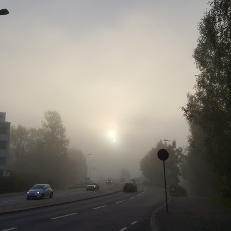 Pakko myöntää, sumussa on jotain suloisen romanttista.
