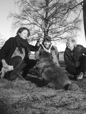 Emmi Pesosen perheen viidestä lapsesta nuorin, Felix Westerberg, on Emmin synnyttämä ja Elias Westerberg (kesk.) on Paavo-puolison edellisestä liitosta. Kuvassa on myös perheen lapinkoira Mamet.