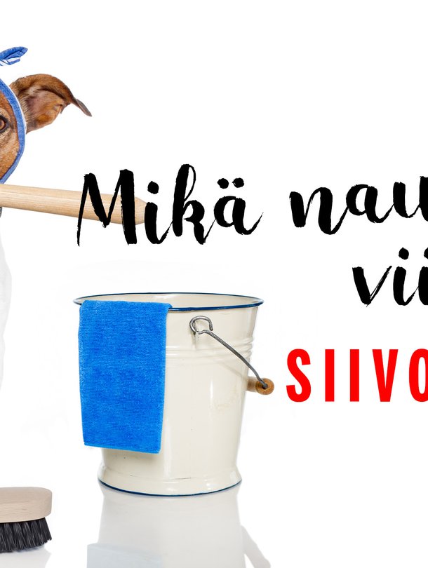 Naurettavaa puuhaa tuo siivoaminen!