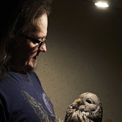 Jarmo Lautamäen hoidokkeihin kuuluu myös siipensä satuttanut viirupöllö.