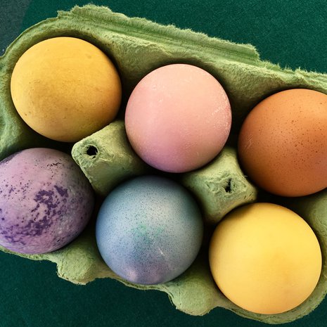 Ruoka-aineilla värjätyt munat ovat kauniita koristeita pääsiäispöydässä. Mikä parasta, ne voi myös syödä. Kennon munat on värjätty vihrellä teellä (ylhäällä vasemmalla), puolukalla, kahvilla, mustikalla, punakaalilla ja kurkumalla.