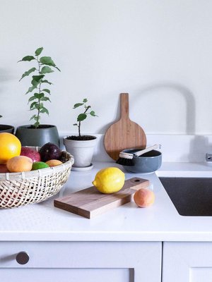 Monista hedelmistä kasvaa kelpo kasveja kotiin. Kokeilut opettavat ja onnistumiset kannustavat. Taustalla kasvavat pienet viikunat ja aprikoosi.