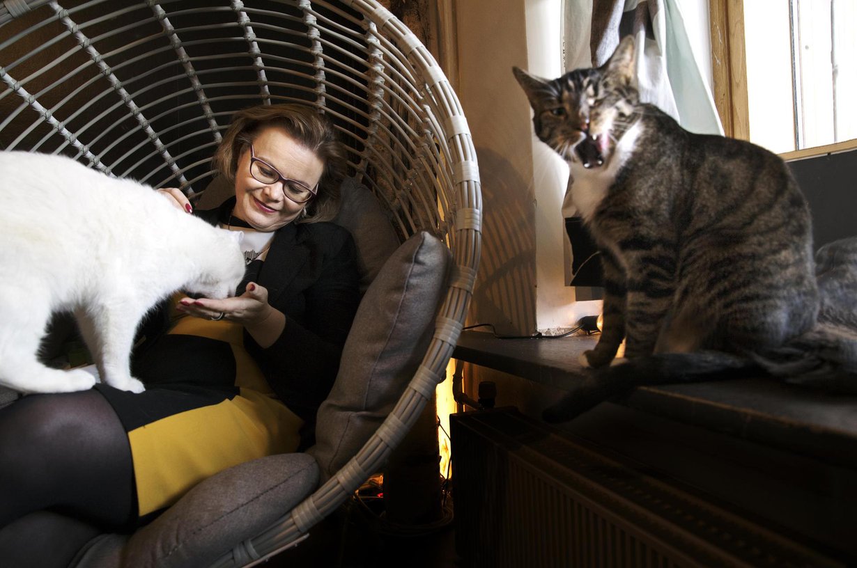 Minna Huotilainen on vakuuttunut siitä, että kissojen silittely vähentää stressiä. Helsinkiläisessä kissakahvila Helkatissa hän silittelee vieraita kissoja, mutta on hänellä kotonakin yksi persoonallinen kissayksilö Iiris.