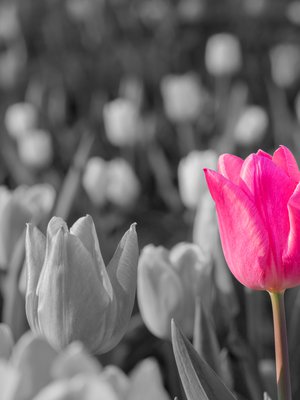 Värit palaavat, kun saa hengitellä hetken yksin, kertoo Kodin Kuvalehden lukija.