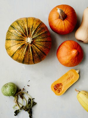 Iso oranssilihainen jättikurpitsa sopii pikkelssiin ja hokkaidokurpitsa paahdettavaksi.  Myskikurpitsan kuori on ohut ja spagettikurpitsan malto on säiemäistä.