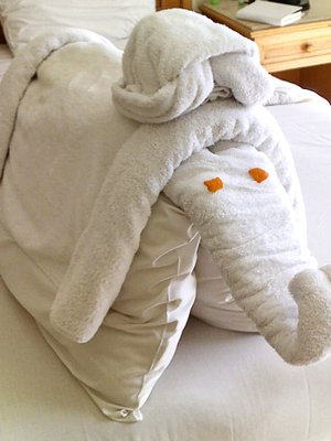  Tämä fantti syntyi Egyptin Sharm el Sheikissä.