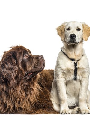 Kunpa hän näkisi minut!