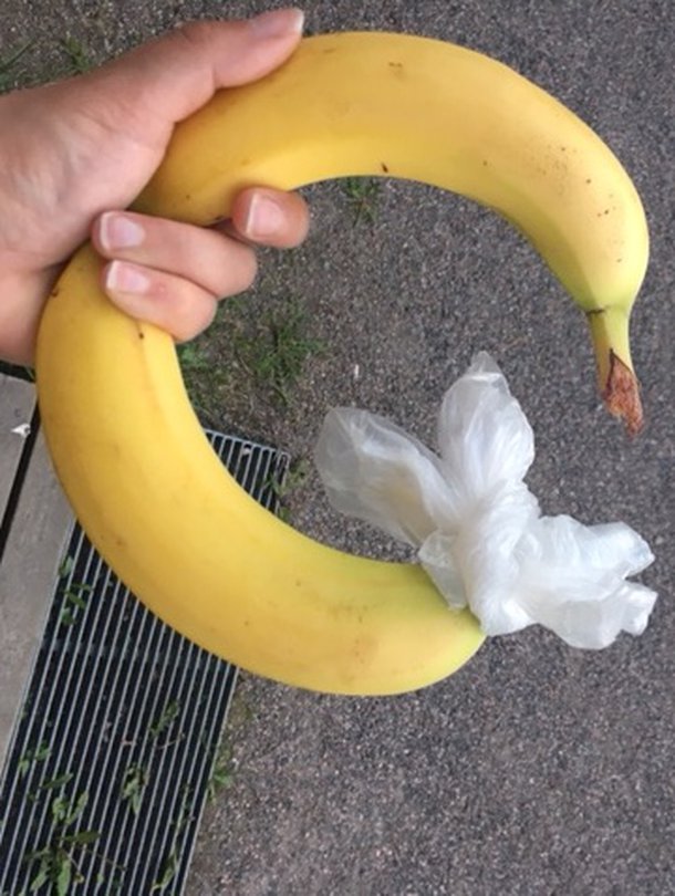 Tästä se lähtee! Uteliaisuus voitti, banaanitesti selvitti.