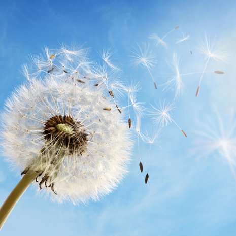 Ajatusten selkiyttäminen auttaa päästämään turhista murheista irti.