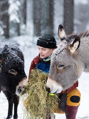 Aasipojat Dylan ja Jante ovat Riinalle rakkaita. Riina käyttää eläimistä puhuessaan aina pronominia hän. ”Sanoilla on valtaa. Valitsemamme sanat arvottavat ympäristöämme.”
