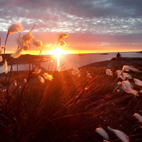 Utö. Kuva Mimmi Jurvanen.