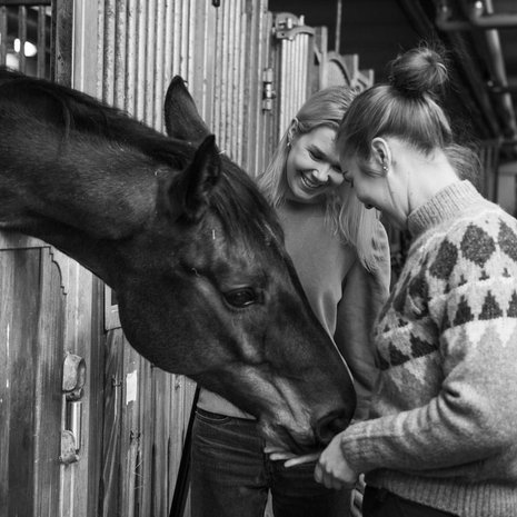Smirnoff-ruuna rupattelee Pehkosen siskosten kanssa Tuomarinkylän tallilla Helsingissä. Oli vähällä, ettei Tuijastakin tullut teininä heppatyttö isosiskonsa tapaan. ”Tuija halusi joskus tallille mukaan, mutta torppasin ajatuksen, sillä ratsastus oli minun juttuni. Myöhemmin olen miettinyt, pilasinko mahdollisuudet yhteiseen harrastukseen”, Tanja pohtii.