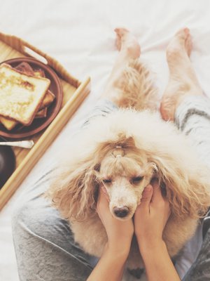 Ei ehkä arkinen, mutta mieltä hellivä rutiini se on tämäkin: yhteinen aamiainen sängyssä.