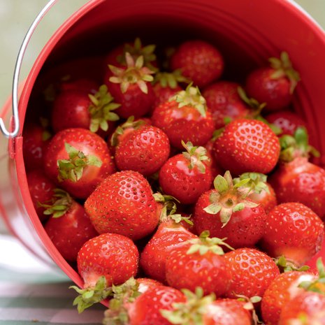 Herkuttele tuoreilla mansikoilla pitkin kesää ja säilö talven varalle pakastaen tai hillona.