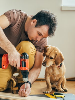 Koira on hyvä kaveri. Mutta miten päätetään sen koti, kun puolisot eroavat?