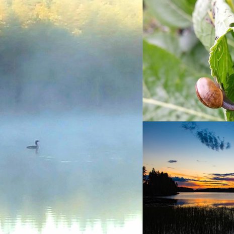 Elokuussa kesä on täysi ja illat hämärtyvät. Tunnelma on usein mystinen.