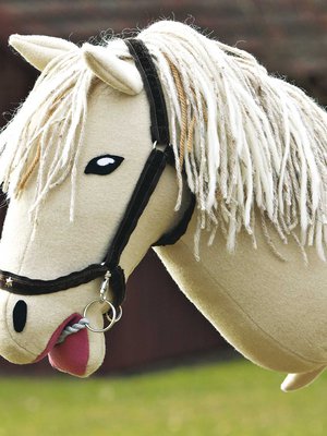 Keppihevosella on hienot riimut ja näyttävä harja!