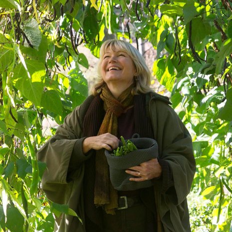 Syksyllä puutarhuri Anne Perheentuvan piha tulvii tuoksuja, värejä ja satoa. Matalat pensaspavut kasvavat papupergolan alaosissa. Salkopavut ja ruusupavut kiipeävät kaaren yläosiin, mistä niitä on helppo poimia.