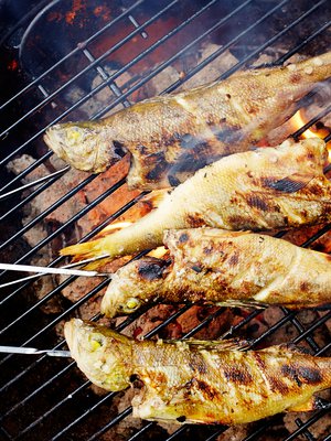 Pienet kalat kannattaa perata, suolata ja grillata kokonaisina.
