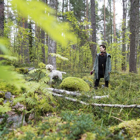 Tarmon kanssa lenkkeily keventää Lauran oloa. 