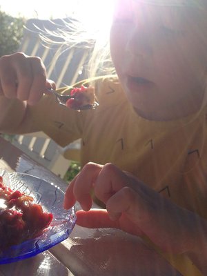 Puolukan ja kinuskin yhdistelmä lumoaa aina.